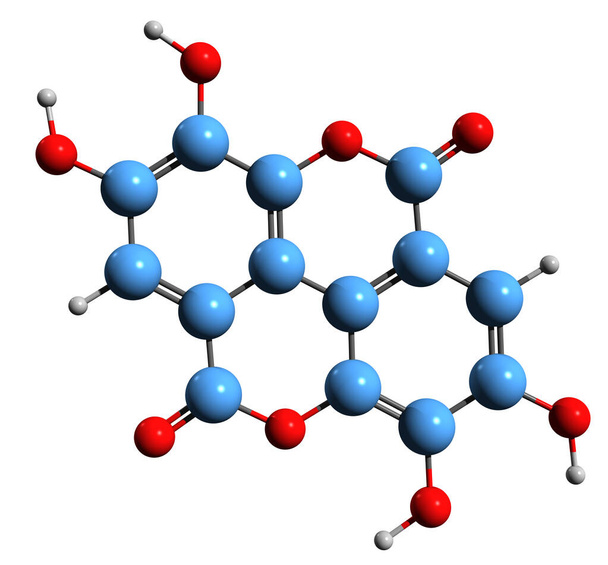  3D obraz formuły szkieletowej kwasu elagowego - molekularna struktura chemiczna polifenolu wyizolowanego na białym tle - Zdjęcie, obraz