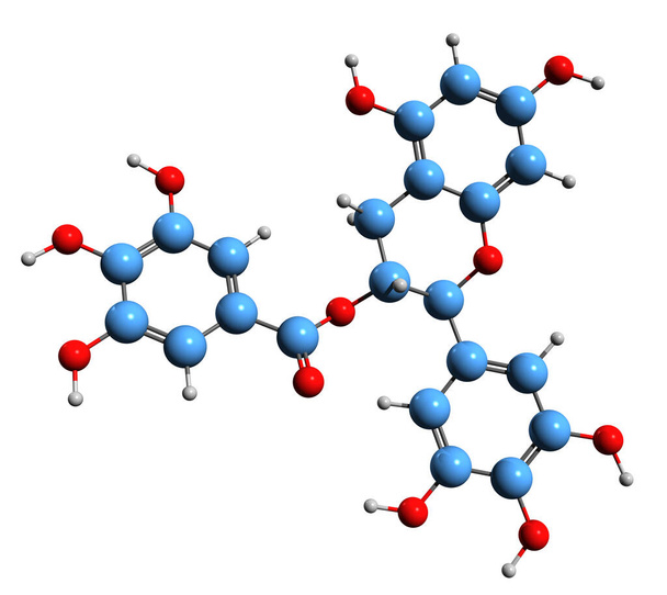  Imagen 3D de la fórmula esquelética de galato de epigalocatequina - estructura química molecular de epigalocatequina-3-galato aislada sobre fondo blanco - Foto, imagen