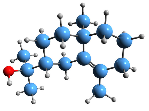  Eudesmon iskelet formülünün 3 boyutlu görüntüsü - beyaz arkaplanda izole edilmiş fitil kimyasalın moleküler kimyasal yapısı - Fotoğraf, Görsel