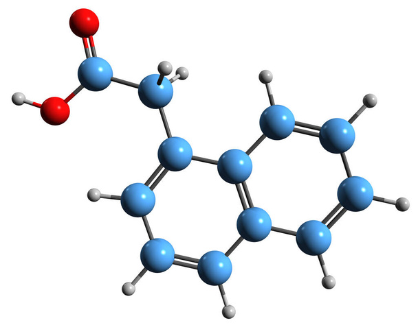  3D obraz formuły szkieletowej kwasu naftylooctowego - molekularna struktura chemiczna syntetycznego hormonu roślinnego izolowanego na białym tle - Zdjęcie, obraz
