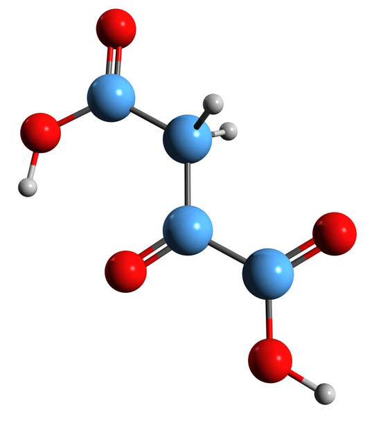  Imagem 3D da fórmula esquelética do ácido oxaloacético estrutura química molecular do ácido cetosuccínico isolado no fundo branco - Foto, Imagem