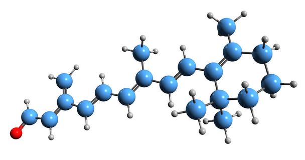  3D-beeld van het netvlies skelet formule - moleculaire chemische structuur van polyeen chromophore Retinaldehyde geïsoleerd op witte achtergrond - Foto, afbeelding