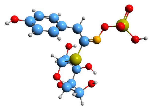  Immagine 3D della formula scheletrica di sinalbina - struttura chimica molecolare del glucosinolato isolato su fondo bianco - Foto, immagini