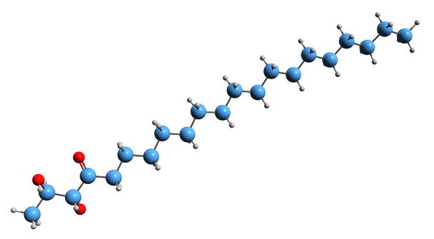  3D kuva Succistearin luuston kaava - molekyylitason kemiallinen rakenne ravintolisä eristetty valkoisella taustalla - Valokuva, kuva