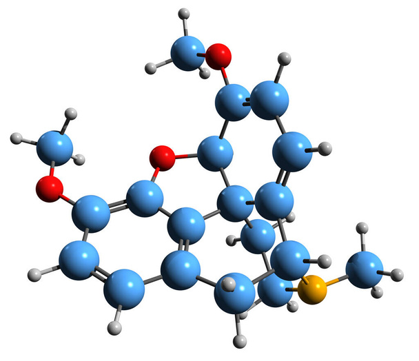  Image 3D de la formule squelettique de Thebaine - structure chimique moléculaire de la paramorphine isolée sur fond blanc - Photo, image