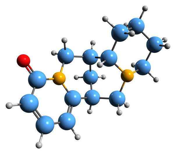  3D εικόνα του σκελετικού τύπου θερμοψίνης - μοριακή χημική δομή των αλκαλοειδών που απομονώνονται σε λευκό φόντο - Φωτογραφία, εικόνα