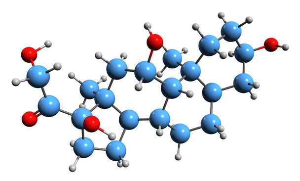  3D εικόνα του σκελετικού τύπου τετραϋδροκορτιζόλης - μοριακή χημική δομή της ουροκορτιζόλης απομονωμένη σε λευκό φόντο - Φωτογραφία, εικόνα