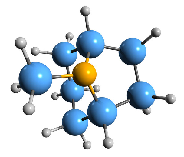  Imagen 3D de la fórmula esquelética de Tropano - estructura química molecular del compuesto orgánico bicíclico nitrogenado aislado sobre fondo blanco - Foto, imagen