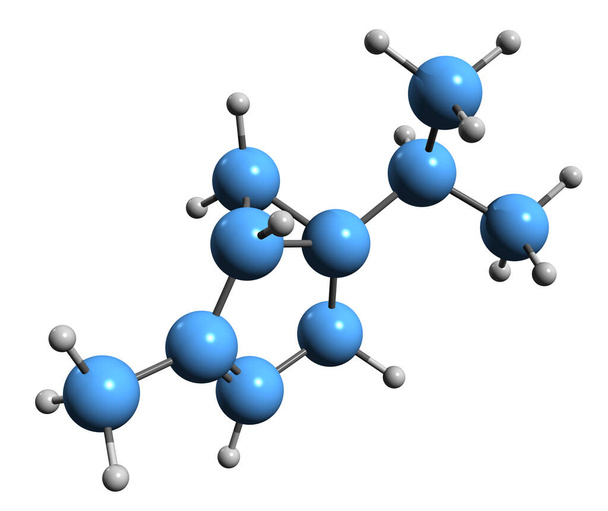 3D-Abbildung der Thujene-Skelettformel - molekulare chemische Struktur des Monoterpens isoliert auf weißem Hintergrund - Foto, Bild