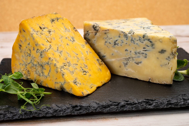 Cheese collection, English old shropshire blue and stilton blue cheeses close up - Photo, Image