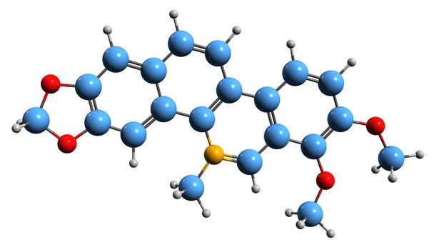  Imagen 3D de la fórmula esquelética de Chelerythrine - estructura química molecular del alcaloide de benzofenanthridine aislado sobre fondo blanco - Foto, Imagen