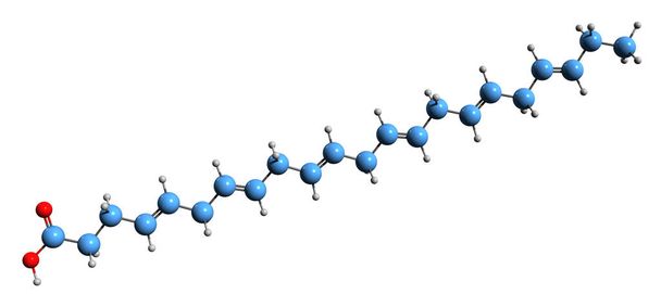  3D-beeld van Docosahexaeenzuur skeletformule - moleculaire chemische structuur van omega-3 vetzuur doconexent geïsoleerd op witte achtergrond - Foto, afbeelding