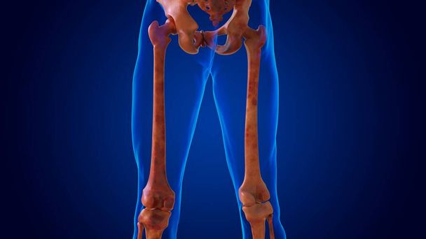скелет человека все кости для медицинской концепции 3D иллюстрации - Фото, изображение