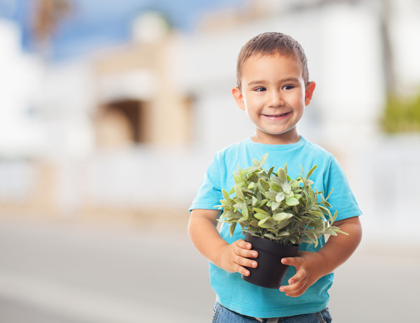 Pieni poika pitelee kasvi
 - Valokuva, kuva