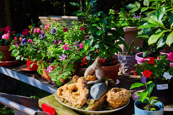 Изображение садовых горшков с геодами на деревенском столе в саду - Фото, изображение