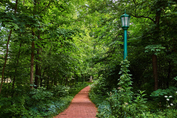 Kuva Lush kesän metsä tiili polku ja vihreä lamppu post - Valokuva, kuva