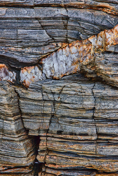 Maine partjainál lévő szikla képe, mint megkövült fa, kvarcvénás ásványokkal. - Fotó, kép