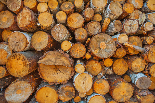 Close up view on woods pile - Foto, imagen