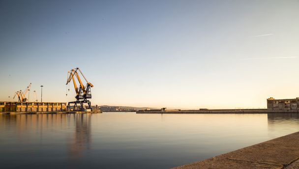 Cranes of the port of Trieste - 写真・画像