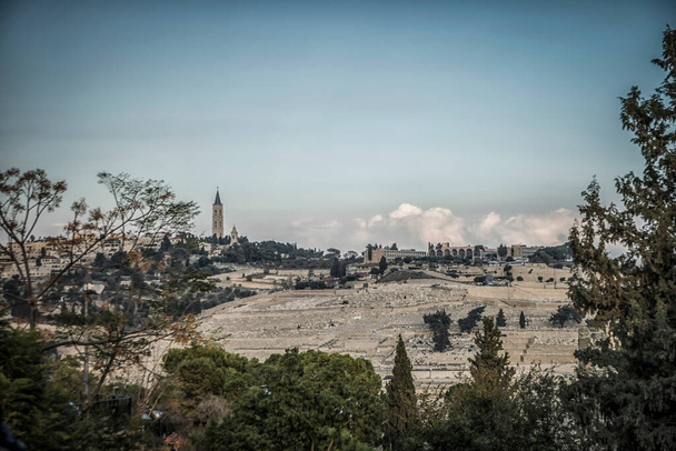 Hegyek és fák Jeruzsálem peremén, Izrael - Fotó, kép