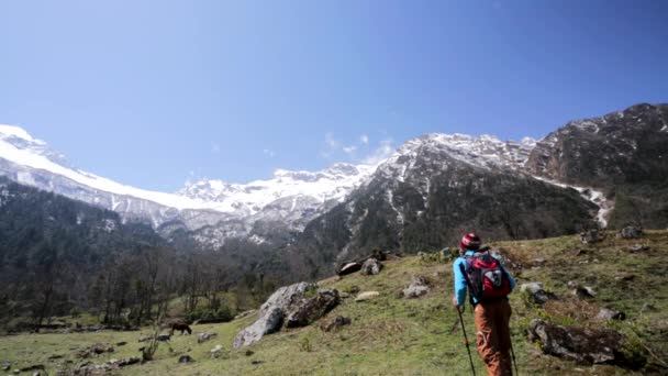 muž turistika v pohoří Himálaj - Záběry, video