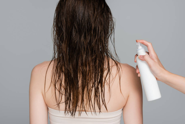 Friseur hält Sprühflasche mit Behandlungsmittel in der Nähe junge Frau mit nassen Haaren isoliert auf grau - Foto, Bild