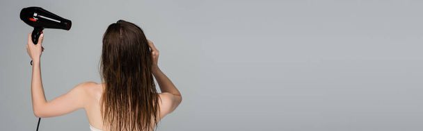πίσω όψη της νεαρής γυναίκας με βρεγμένα μαλλιά χρησιμοποιώντας στεγνωτήρα μαλλιών που απομονώνονται σε γκρι, banner - Φωτογραφία, εικόνα