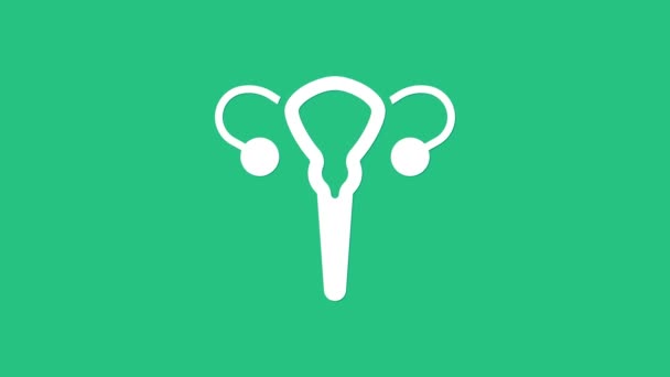 White Female reproductive system icon isolated on green background. Anatomy. Gynecology. Woman health. 4K Video motion graphic animation. - Footage, Video