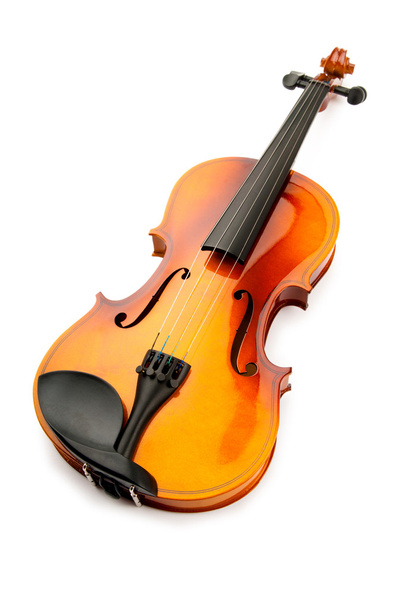Скрипка изолирована на белом
 - Фото, изображение