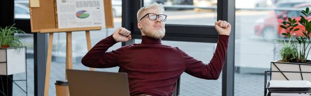 bearded albino businessman in glasses stretching near laptop in office, banner - 写真・画像