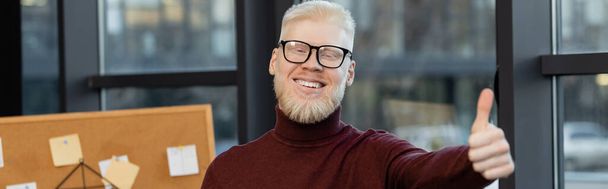 bearded albino businessman in glasses smiling and showing thumb up in office, banner - 写真・画像