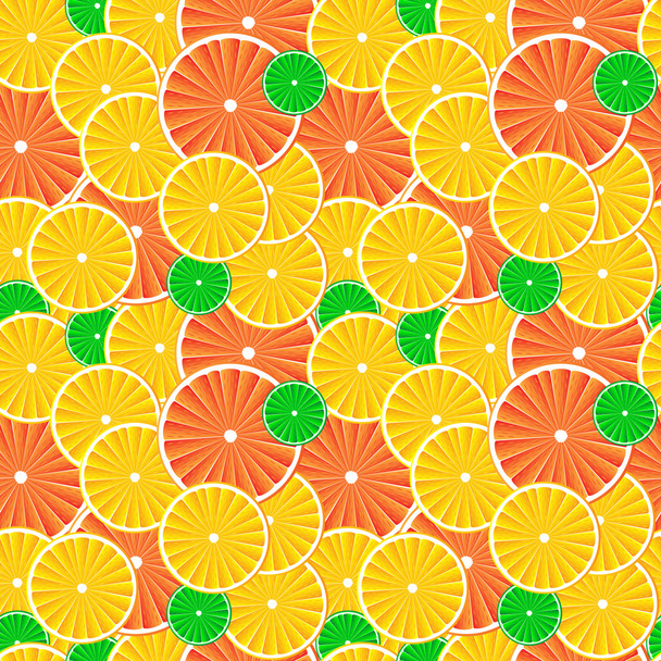 Citrus fruit slices background. - Fotoğraf, Görsel