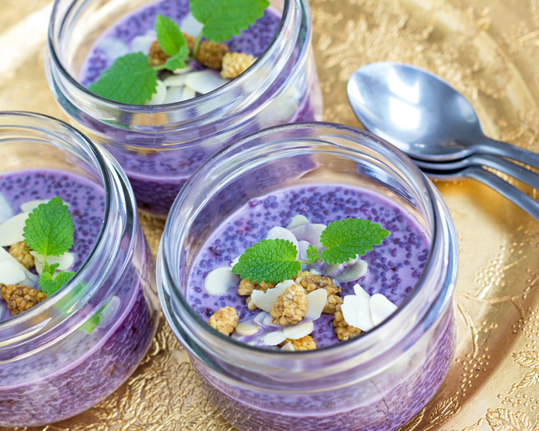 Blueberry chia pudding - Photo, Image