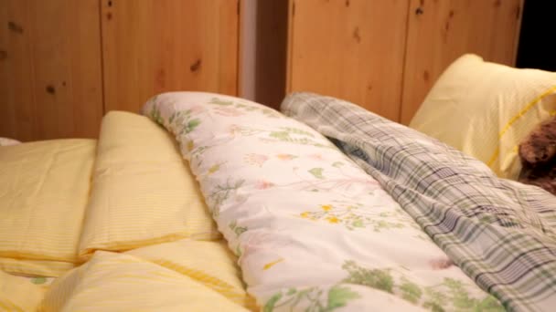 Osos de peluche en la cama
 - Metraje, vídeo