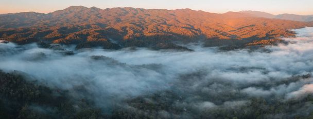 Vuoret ja sumu aamulla, korkea kulma näkymä metsään - Valokuva, kuva