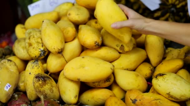 Érett mangó kiválasztása - Felvétel, videó
