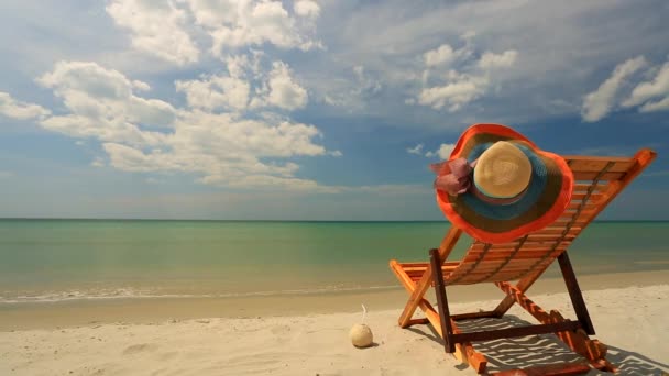 Sunlounger op tropisch strand - Video