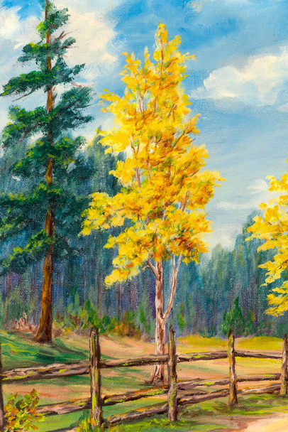 Primo piano di un dipinto ad olio su tela raffigurante una strada di campagna con betulle bianche e boschi in autunno. Pittura di paesaggio tradizionale. Impressionismo. Arte. - Foto, immagini