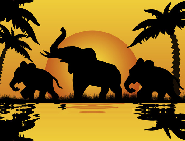 Слоны на закате
 - Вектор,изображение