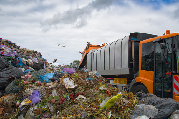 a hulladéklerakó szennyezi a környezetet. kukásautó. madarak repülnek a hulladéklerakó felett - Fotó, kép