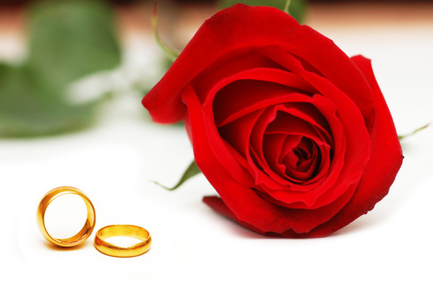 Wedding concept with roses and rings - Foto, immagini