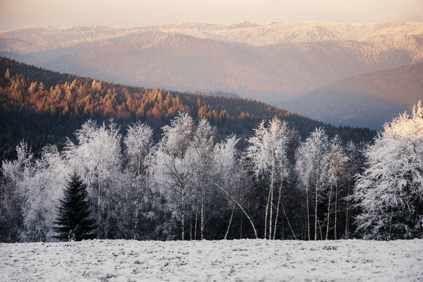 冬の山々の素晴らしい自然景観 - 写真・画像