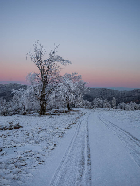 καταπληκτική φύση γραφική θέα των βουνών το χειμώνα - Φωτογραφία, εικόνα