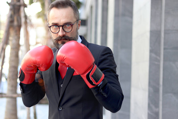 赤のボクシンググローブやミットパンチを身に着けているシニア成熟した髭ビジネスマン,成功のためのビジネスを戦うためのメタファー,戦う準備ができて高齢者のパンチ,紛争やビジネスコンセプトと戦う. - 写真・画像