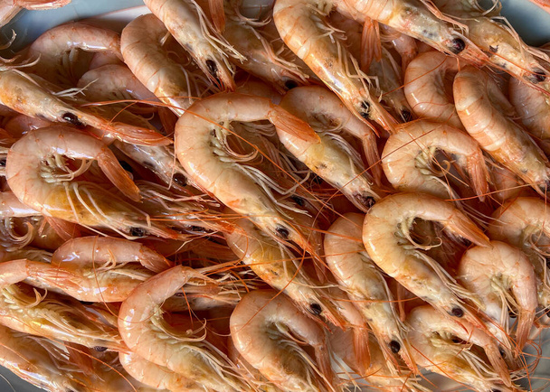 Grande partie des tapas espagnoles de crevettes grillées au sel - Photo, image