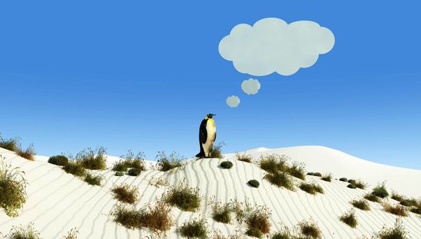 poušť a tučňák - Fotografie, Obrázek