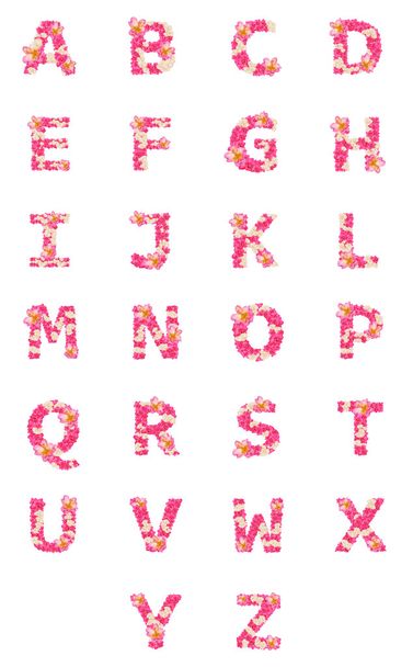 Letters made of flowers, English alphabet, colorful flower font - Φωτογραφία, εικόνα