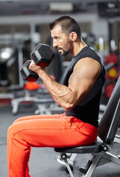 Biceps workout - Foto, Imagem