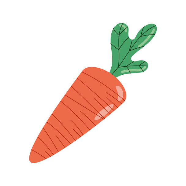 fresh carrot vegetable healthy food - Vector, Image