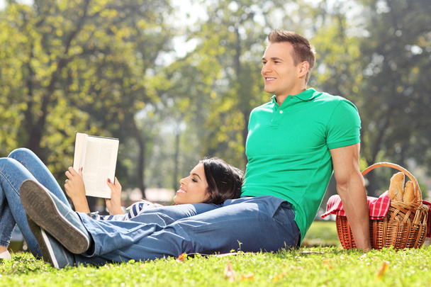 Couple having picnic in park - 写真・画像